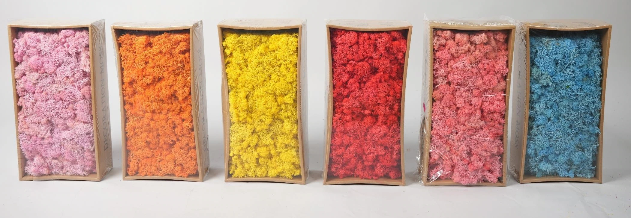 Real Dried Moss 500 Gram